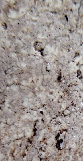 พระสมเด็จ วัดระฆัง บางขุนพรหม วัดเกศไชโย หลวงปู่ภู หลวงปู่นาค รูปที่ 11