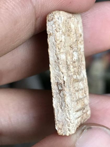 เส้นด้าย(คราบกรุคราบน้ำ) รูปที่ 9