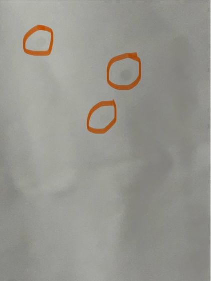 iPhone 13 Pro 256 GB รูปที่ 11