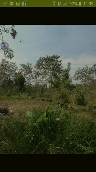 ใช่ ขายที่ดิน100ตรว.คลอง8อ.ธัญบุรีจ.ปทุมธานี รูปที่ 4