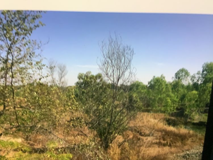 ขายที่ดินเปล่า โฉนดครุฑแดง 82 ไร่ ติดถนนเลียบวัดดอนเปา ไฟ 3 เฟส น้ำประปาถึง รูปที่ 2