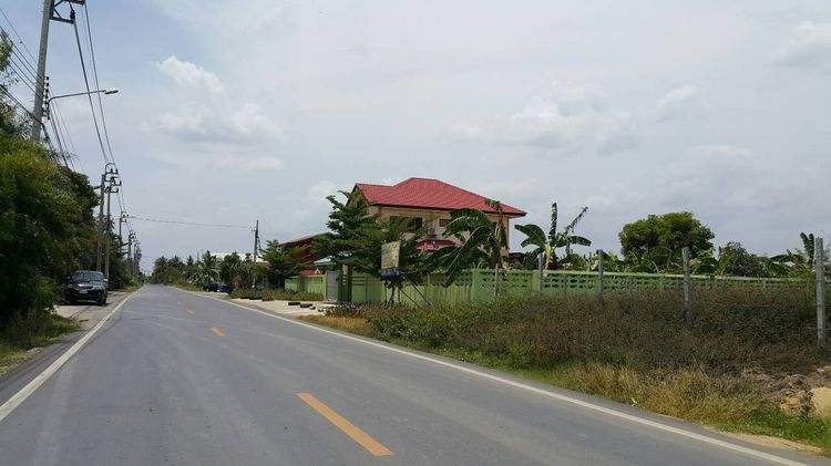 ให้เช่าที่ดิน 7 ไร่ ใกล้บางใหญ่ ตรงศูนย์กระจายสินค้า 7-11 ซอยเดียวกับวัดสามง่าม รูปที่ 3