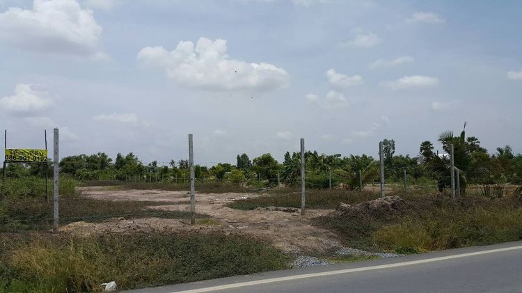 ให้เช่าที่ดิน 7 ไร่ ใกล้บางใหญ่ ตรงศูนย์กระจายสินค้า 7-11 ซอยเดียวกับวัดสามง่าม รูปที่ 4