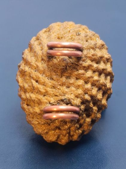 เบี้ยแก้จิ๋ว หลวงปู่เจือ ยุคปลาย วัดกลางบางแก้ว รูปที่ 5