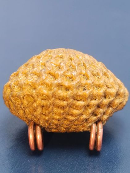 เบี้ยแก้จิ๋ว หลวงปู่เจือ ยุคปลาย วัดกลางบางแก้ว รูปที่ 8