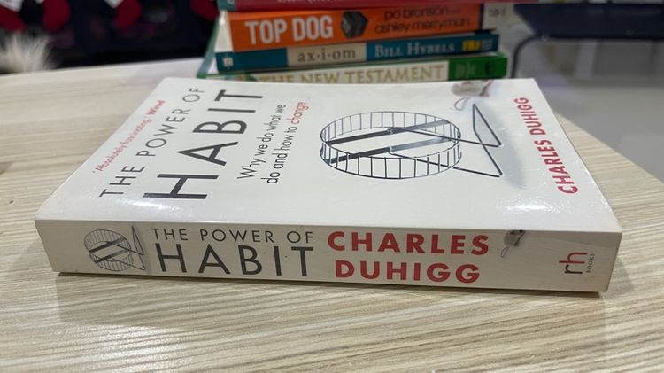 The power of Habit  รูปที่ 3