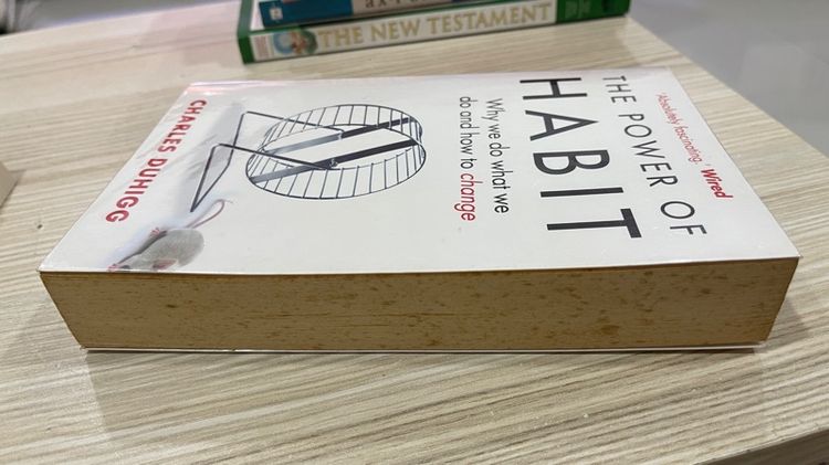 The power of Habit  รูปที่ 4