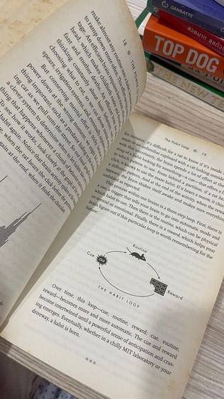 The power of Habit  รูปที่ 5