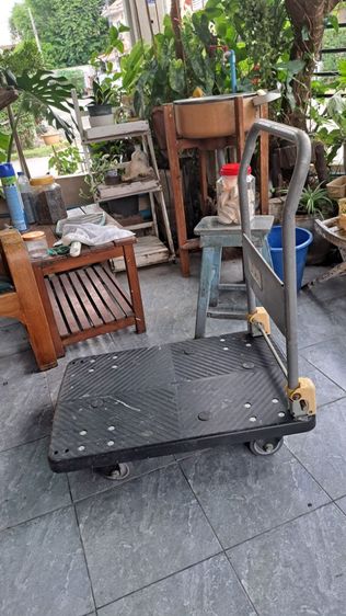 รถเข็น รูปที่ 2