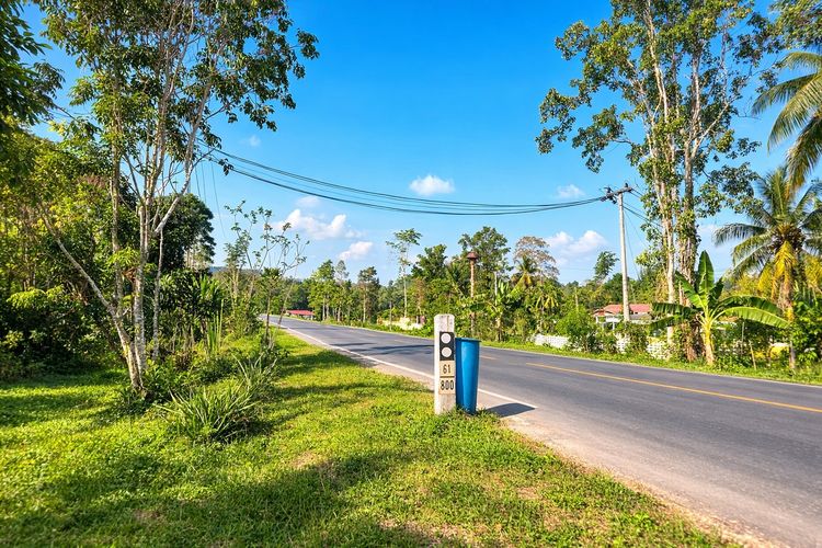🌴 ขายสวนปาล์ม ติดถนนดำ เอกสารสิทธิ “โฉนด” 🌴  📍 ที่ดินสวนปาล์ม อายุประมาณ 1 ปีครึ่ง