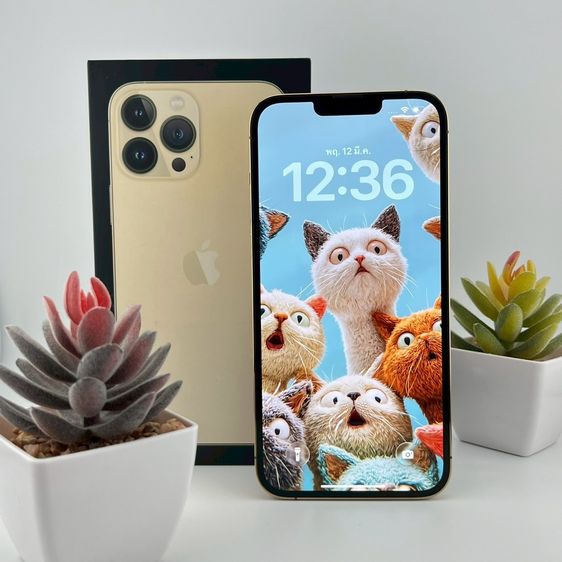 ✨iPhone 13 Pro Max 128 GB 🎉 รหัสสินค้า PE130 🎉