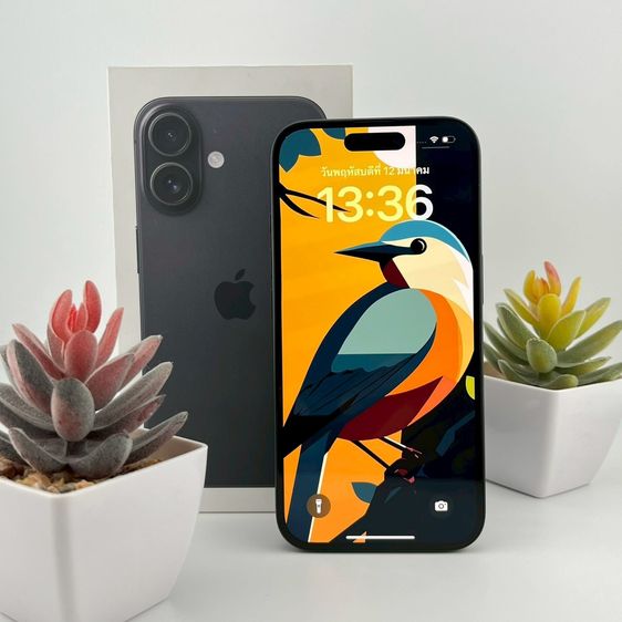 ✨iPhone 16 128 GB 🎉 รหัสสินค้า PH276 🎉