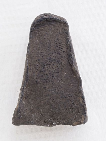 พระผงสุพรรณ 30126810 รูปที่ 2