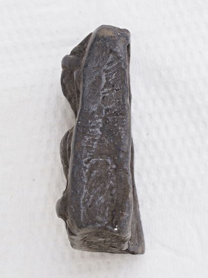 พระผงสุพรรณ 30126810 รูปที่ 4