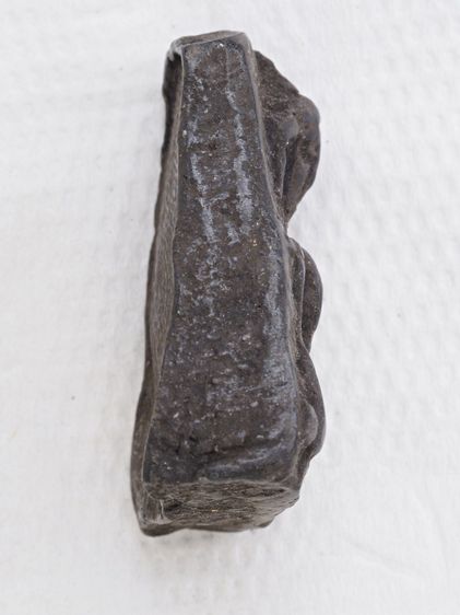 พระผงสุพรรณ 30126810 รูปที่ 3