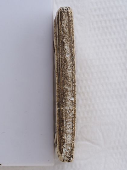 พระสมเด็จ 30126812 รูปที่ 4