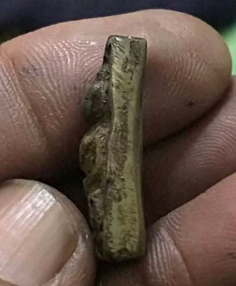 พระหลวงพ่อเพชร เนื้อเงิน รูปที่ 3