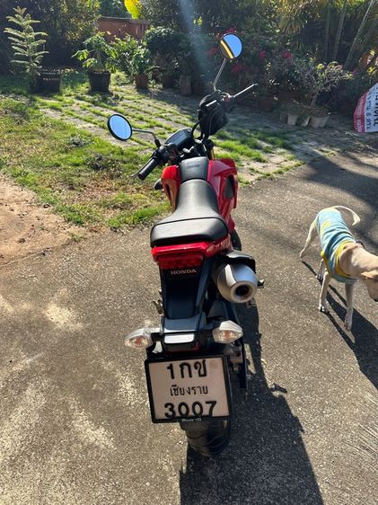 Honda MSX125 (Grom) โฉมแรก-ไมล์แท้ รูปที่ 4