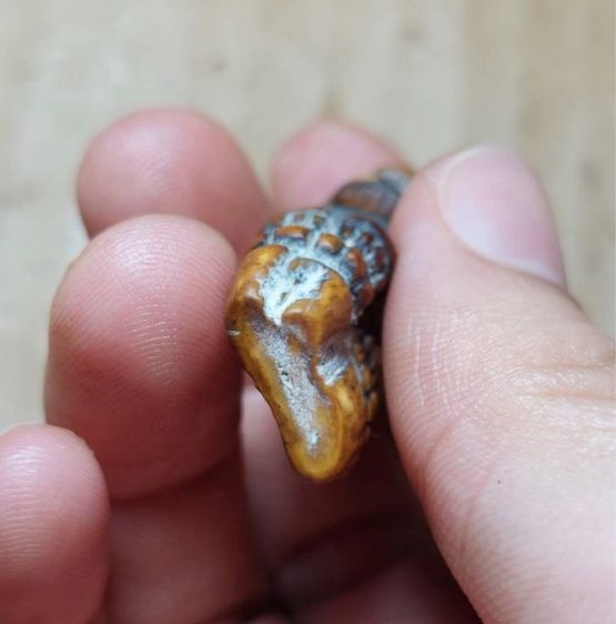 เครื่องราง รูปที่ 5