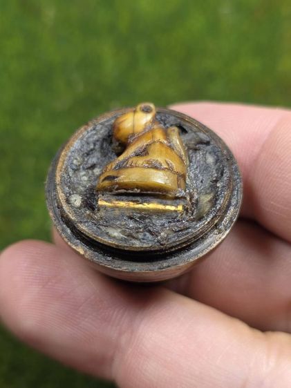 เสือหลวงพ่อปานบรรจุกับขี้ผึ้งพระอบ รูปที่ 2