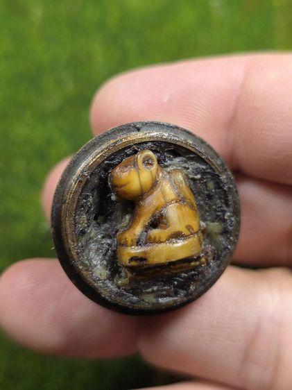 เสือหลวงพ่อปานบรรจุกับขี้ผึ้งพระอบ