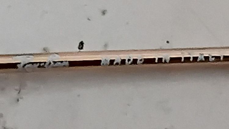 ขายแว่นตาRay-Ban Aviator small metal(RB3044 L0207 ซึ่งเป็นเวอร์ชั่นขนาดเล็กพิเศษสุดคลาสสิกออกแบบมาเพื่อผู้มีใบหน้าเล็กเรียวหรือสำหรับวัยรุ่น รูปที่ 11