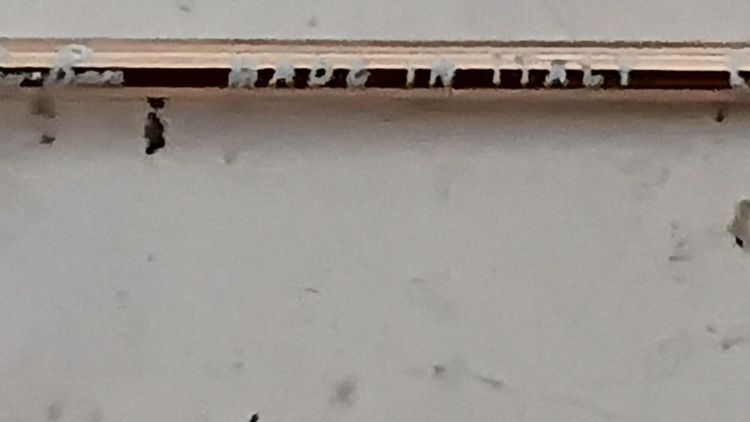 ขายแว่นตาRay-Ban Aviator small metal(RB3044 L0207 ซึ่งเป็นเวอร์ชั่นขนาดเล็กพิเศษสุดคลาสสิกออกแบบมาเพื่อผู้มีใบหน้าเล็กเรียวหรือสำหรับวัยรุ่น รูปที่ 5