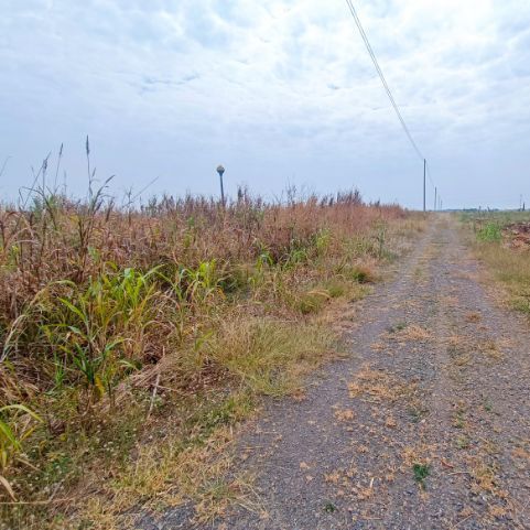 ใช่ ขายที่ดินเปล่าติดเขา 2 ไร่ รูปที่ 2