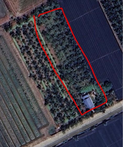 บ้าน สวนมะพร้าว