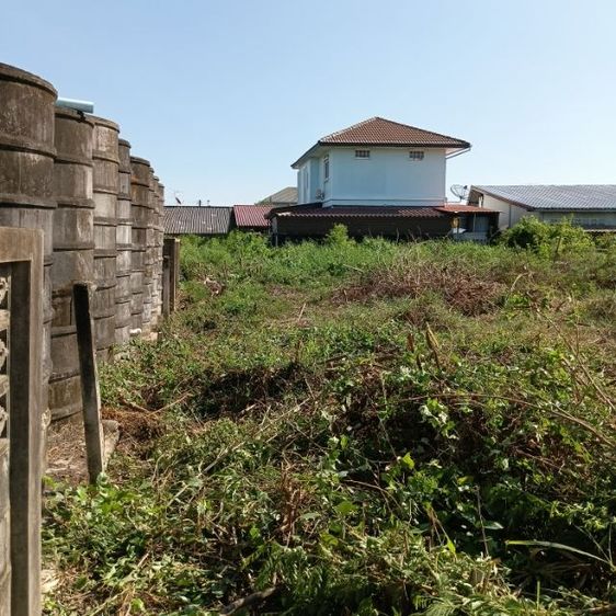 ใช่ ขายที่ดินในเมืองฉะเชิงเทรา รูปที่ 3