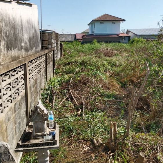 ใช่ ขายที่ดินในเมืองฉะเชิงเทรา รูปที่ 4