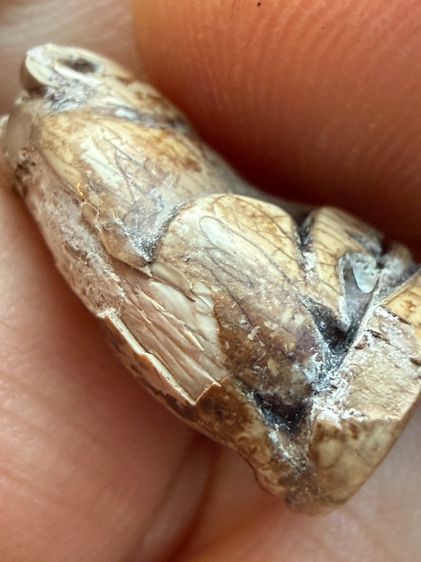 พระเก่าเก็บคลิกโลโก้เข้าร้านสนใจโทร 081-4927870 หรือ ทักLineสเเกนQRรูปสุดท้ายค่ะ รูปที่ 5