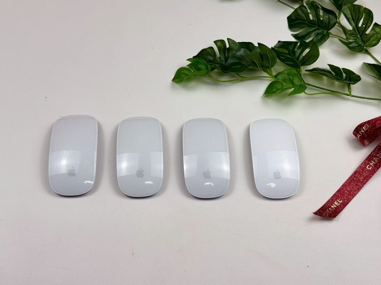 Apple Magic Mouse (Lightning) จาก iMac M1