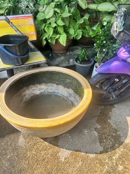 กระถางปลูกบัวและต้นไม้รวม4ใบ รูปที่ 16