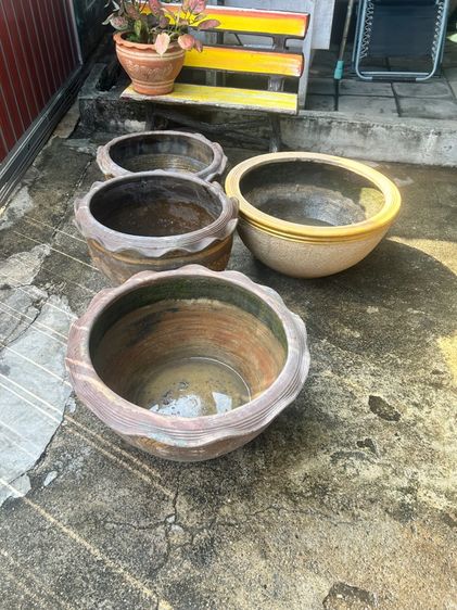 กระถางปลูกบัวและต้นไม้รวม4ใบ รูปที่ 10