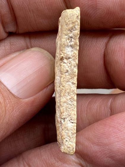 สมเด็จบางขุนพรหม กรุเก่า รูปที่ 3