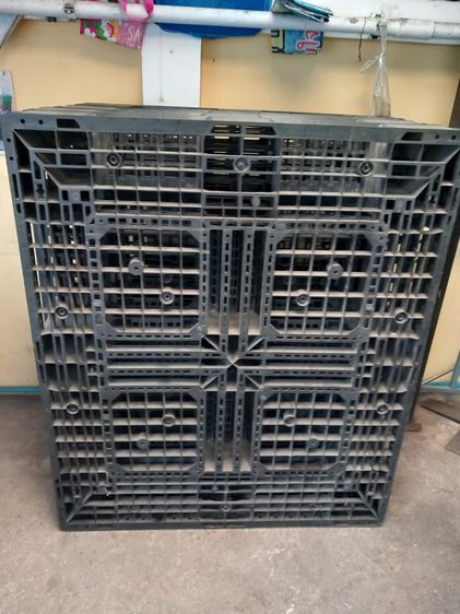 พาเหรด วางของ