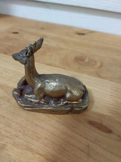 กวางทองเหลือง รูปที่ 3