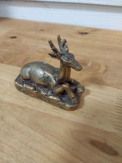 กวางทองเหลือง รูปที่ 2