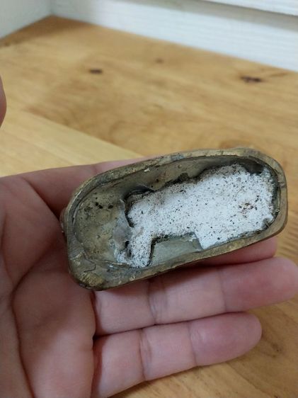 กวางทองเหลือง รูปที่ 6