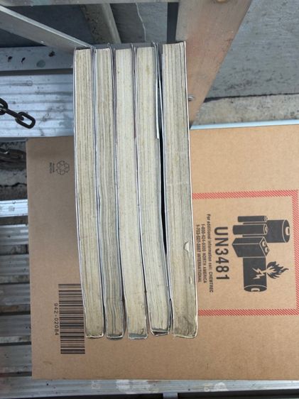 Dogs Bullest and Carnage เล่ม2ถึง5 บวก ตอนพิเศษ stray dogs howling inthe dark  รูปที่ 4