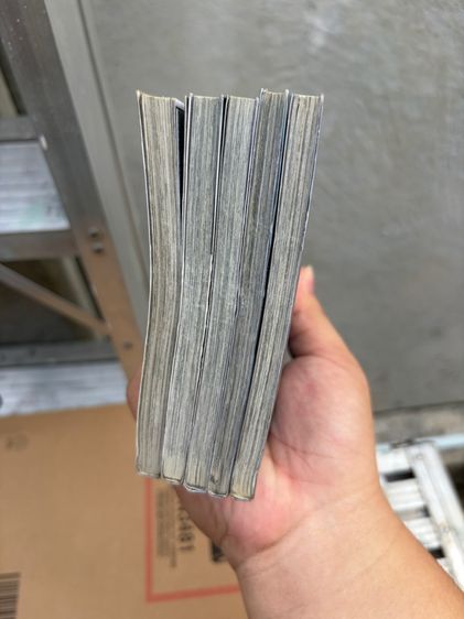 Dogs Bullest and Carnage เล่ม2ถึง5 บวก ตอนพิเศษ stray dogs howling inthe dark  รูปที่ 6