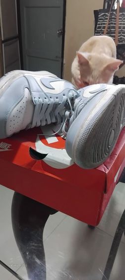 รองเท้าไนกี้( เอ )ส่งฟรี รูปที่ 5