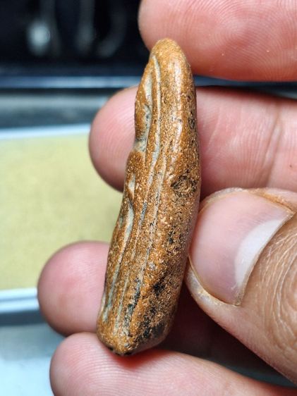 พระลีลาเม็ดขนุน รูปที่ 2