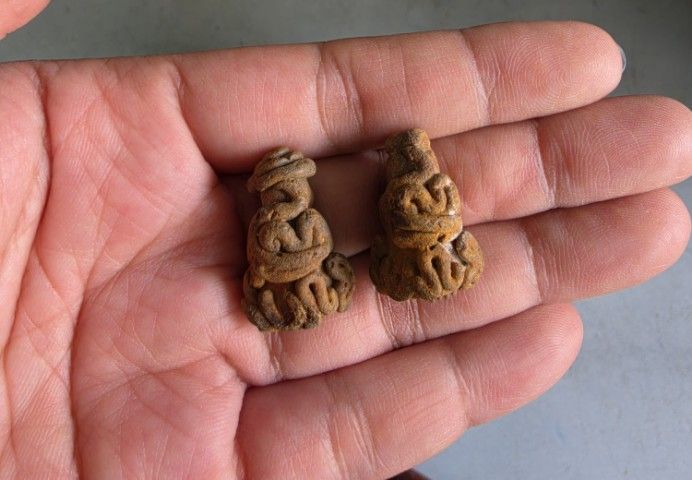 ปิดตา รูปที่ 2