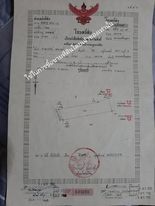 ที่ดินเปล่า รูปที่ 1