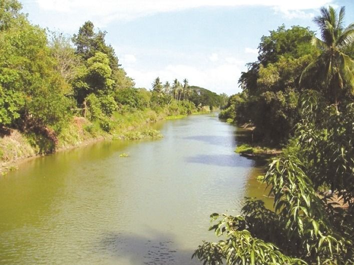 ที่ดินเปล่า รูปที่ 4