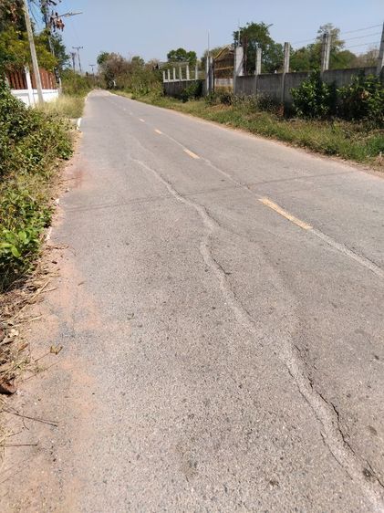 ที่ดินเปล่า 2 งาน 31 ตารางวา รูปที่ 3