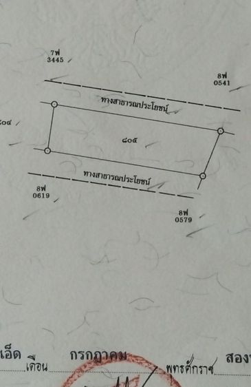 ที่ดินเปล่า 2 งาน 31 ตารางวา