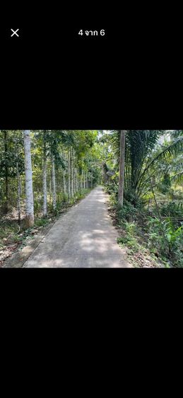 ที่ดิน รูปที่ 2